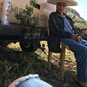 Meet your Posher, China